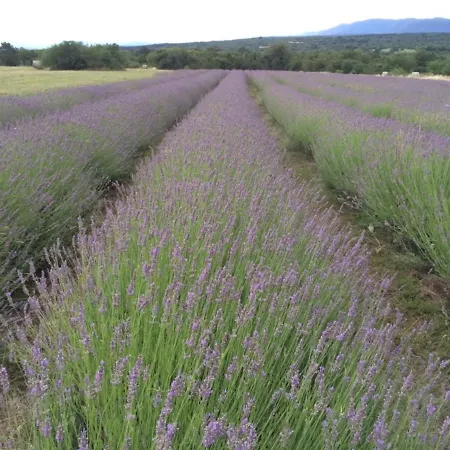 Lavanda In Kriz With Private Swimpool Holiday home Sezana