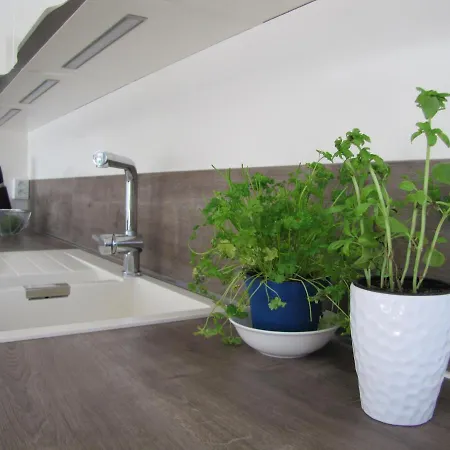 Lavanda In Kriz With Private Swimpool Holiday home
