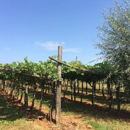 Lavanda In Kriz With Private Swimpool