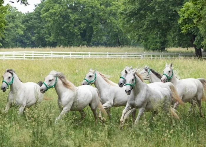 Lavanda In Kriz With Private Swimpool *
