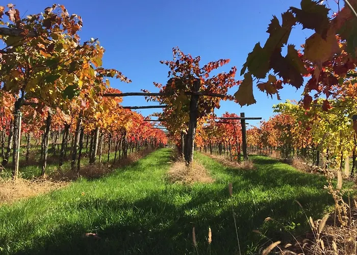 Lavanda In Kriz With Private Swimpool Vakantiehuis Sežana