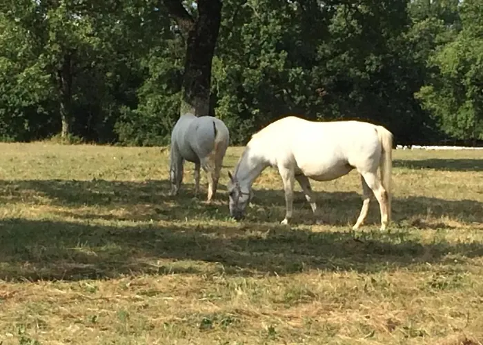 Lavanda In Kriz With Private Swimpool Casa vacanze Sežana
