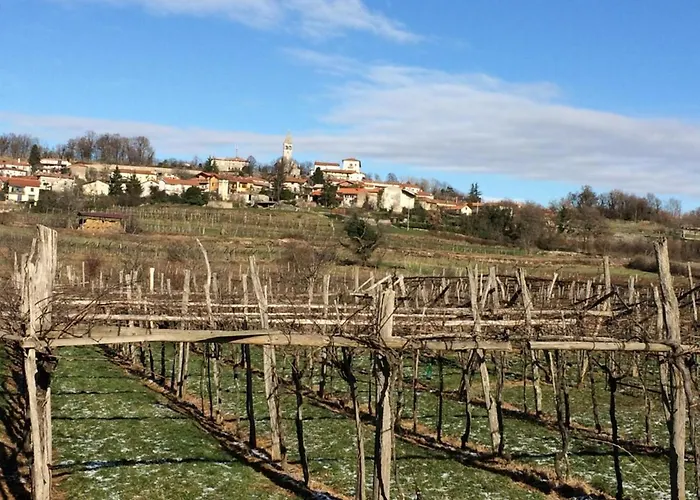 Lavanda In Kriz With Private Swimpool