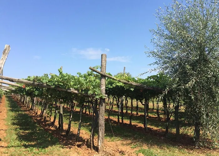 Lavanda In Kriz With Private Swimpool